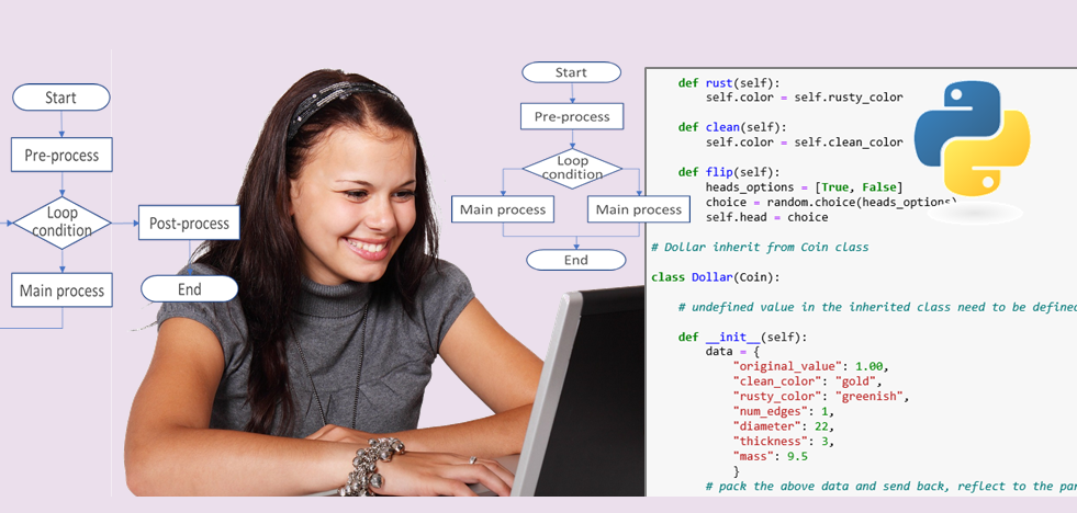 Python Coding For Beginners - STEAM Dojo - 6crickets